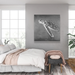 Canvas 36 x 36 - Grayscale sea turtle