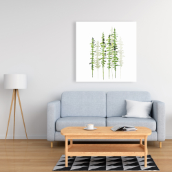 Canvas 36 x 36 - Slim trees