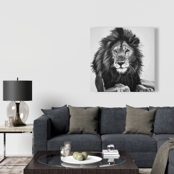 Canvas 36 x 36 - The lion king