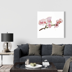 Toile 36 x 36 - Branche de cerisier rose en fleurs