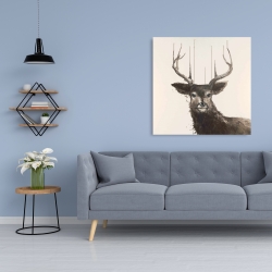 Canvas 36 x 36 - Abstract deer