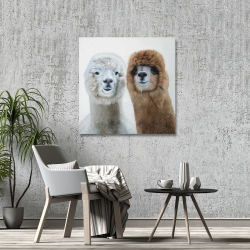 Toile 36 x 36 - Deux lamas