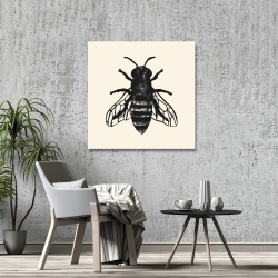 Canvas 36 x 36 - Bee