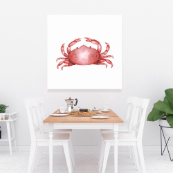 Canvas 36 x 36 - Crab
