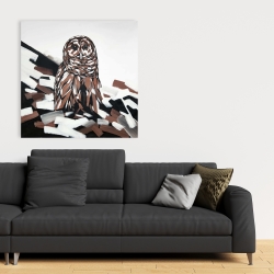 Canvas 36 x 36 - Tawny owl