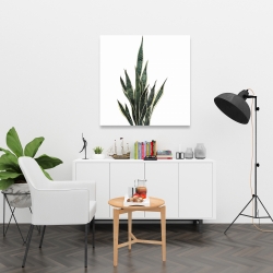 Toile 36 x 36 - Plante couteau