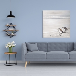 Canvas 36 x 36 - Two sandpipiers birds