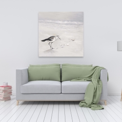 Toile 36 x 36 - Bécasseau semipalmé