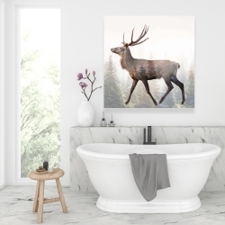 Canvas 36 x 36 - Large plume roe deer