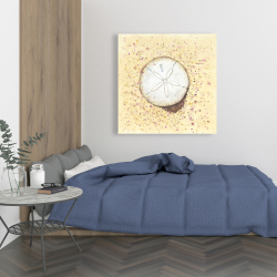Toile 36 x 36 - Dollars des sables