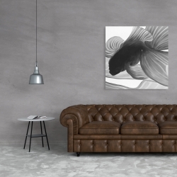 Canvas 36 x 36 - Monochrome two betta