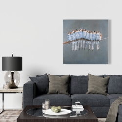 Canvas 36 x 36 - Bunch of small birds on a branch
