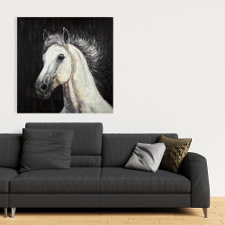 Canvas 36 x 36 - White star horse