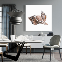 Toile 36 x 36 - Coquillage de conque de cheval neutre