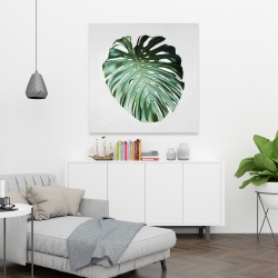 Canvas 36 x 36 - Monstera leaf