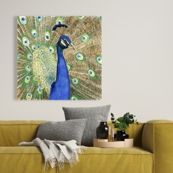 Canvas 36 x 36 - Peacock