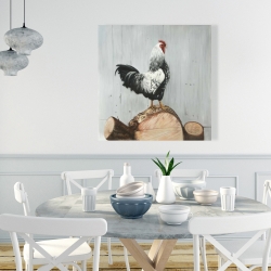 Toile 36 x 36 - Coq wyandotte