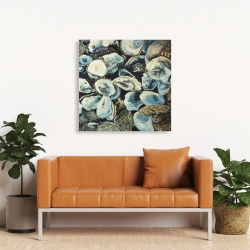 Toile 36 x 36 - Coquilles d'huîtres