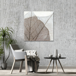Toile 36 x 36 - Feuilles séchées translucides