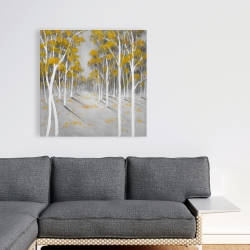 Canvas 36 x 36 - Yellow birch forest