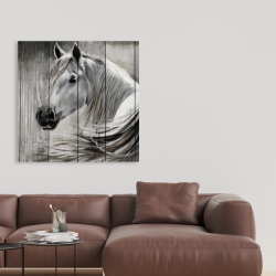 Canvas 36 x 36 - Rustic horse