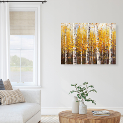 Canvas 36 x 48 - Birches by sunny day