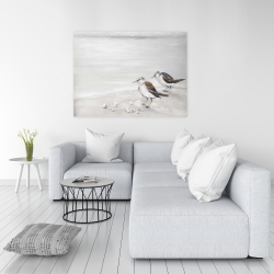 Canvas 36 x 48 - Two sandpipiers birds