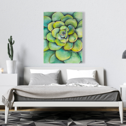 Canvas 36 x 48 - Watercolor succulent plant