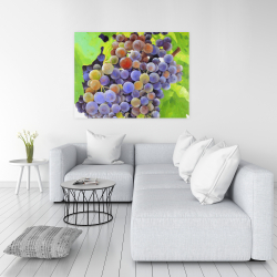Toile 36 x 48 - Bouquet de raisins
