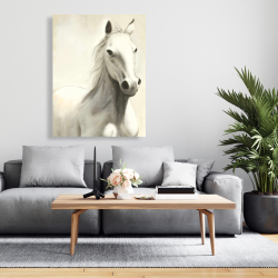 Canvas 36 x 48 - Gallant white horse