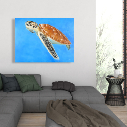 Canvas 36 x 48 - Sea turtle