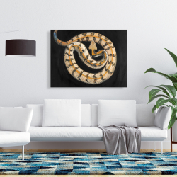 Canvas 36 x 48 - Southern timber rattlesnake