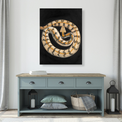 Canvas 36 x 48 - Southern timber rattlesnake