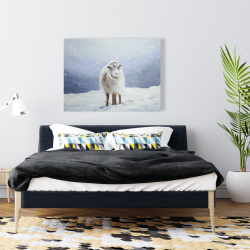 Canvas 36 x 48 - Long hair sheep