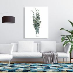 Canvas 36 x 48 - Thyme leaves bundle - en