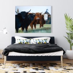 Canvas 36 x 48 - Four highland cows