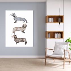 Canvas 36 x 48 - Small dachshund dog