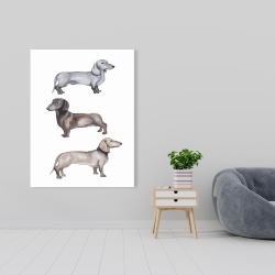 Canvas 36 x 48 - Dachshund dogs