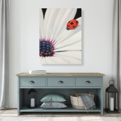 Canvas 36 x 48 - White daisy and ladybug