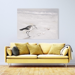 Toile 36 x 48 - Bécasseau semipalmé