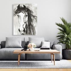 Toile 36 x 48 - Magnifique cheval sauvage
