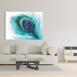 Canvas 36 x 48 - Peacock feather closeup
