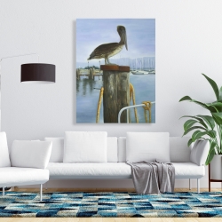 Toile 36 x 48 - Pélican