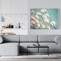 Canvas 36 x 48 - Cotton grass flowers in the wind