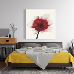 Canvas 48 x 48 - Anemone red flower