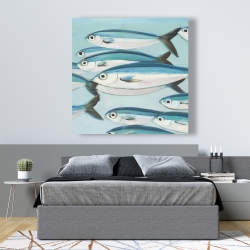 Canvas 48 x 48 - Small fish of caesio caerulaurea