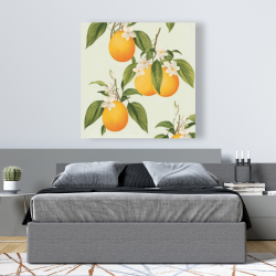Canvas 48 x 48 - Suspended oranges