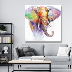 Canvas 48 x 48 - Beautiful and colorful elephant