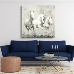 Canvas 48 x 48 - Three white horses running
