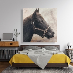 Toile 48 x 48 - Gallopin le cheval brun